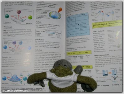 Chimp does homework