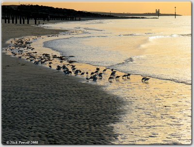 Golden Light at Minnis Bay