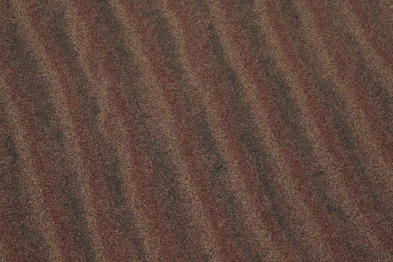 Copy of sandwich10004.JPG