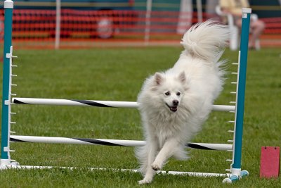 IMG_0575.jpg