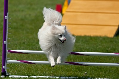 IMG_0651.jpg