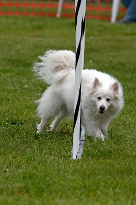 IMG_0768.jpg