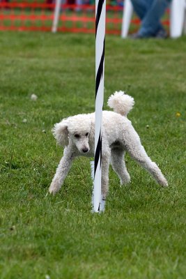 IMG_0778.jpg