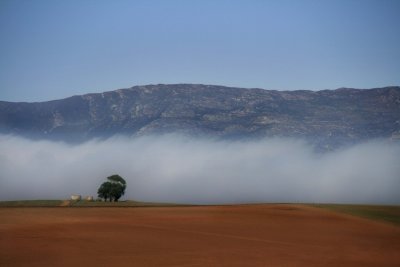 Overberg landscape