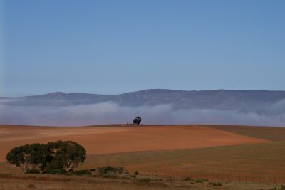 Overberg landscape