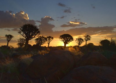 Sunset at the Quiver Tree Forest, Keetmanshoop