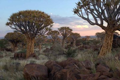 Sunset at the Quiver Tree Forest, Keetmanshoop