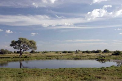 Okaukuejo waterhole