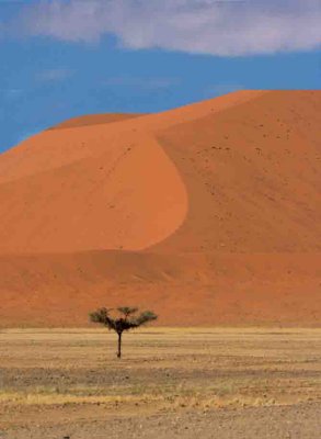 2008 - Sossusvlei