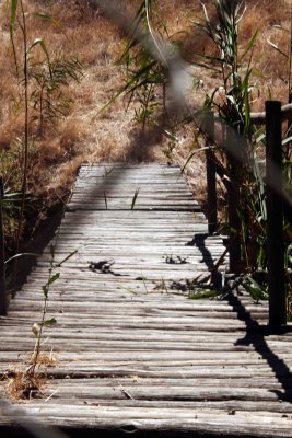 Dilapidated Wooden Bridge at Paddagang, Tulbagh