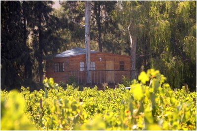 Tree House Guest Cottage at Vindoux Farm, Tulbagh