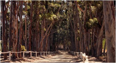 Entrance to Montpellier Farm, Tulbagh