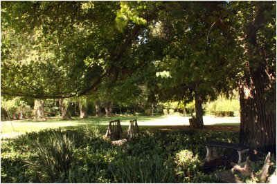 Montpellier Guest Farm Garden, Tulbagh