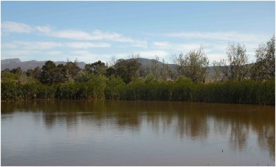 Farm dam on Montpellier, Tulbagh