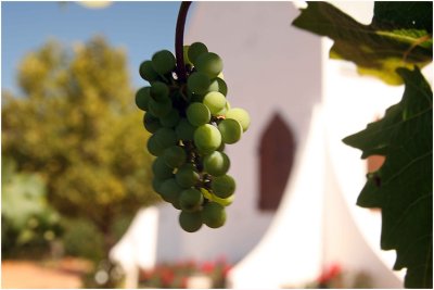 A different view of the church on Montpellier, Tulbagh