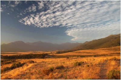 Mountains and Landscape at Sunset, Tulbagh