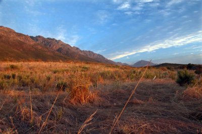 Mountains and Landscape at Sunset, Tulbagh
