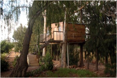 Tree House Accommodation at Vindoux, Tulbagh