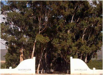 Entrance to Montpellier