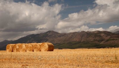 Near Tulbagh