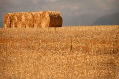 Near Tulbagh