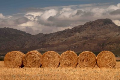 Near Tulbagh