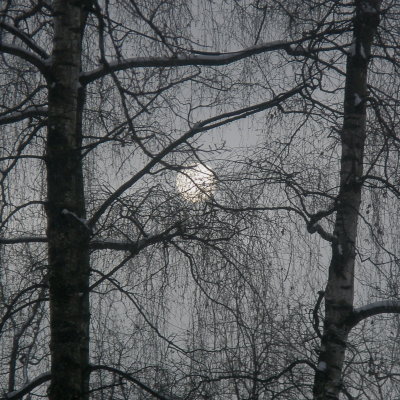 Lorette 11.01.10