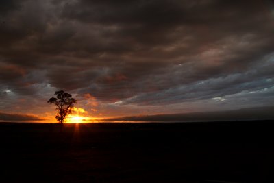 IMG_2298.JPG