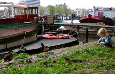 amsterdam 0410 168asm.jpg