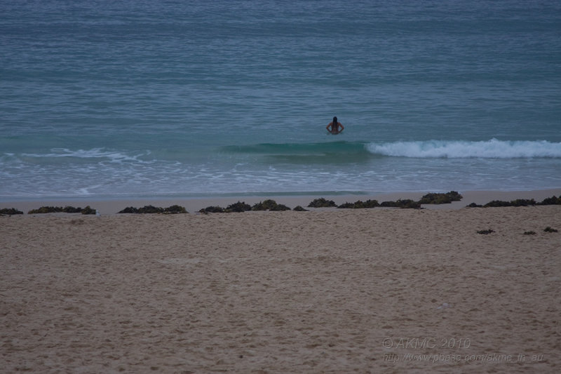 20100126_055559_4740 Lone Bather