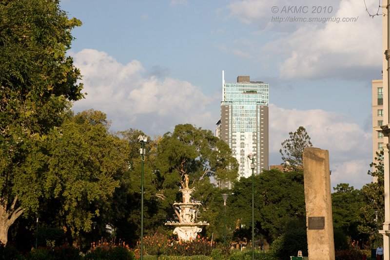 7019 Carlton Gardens, Morning