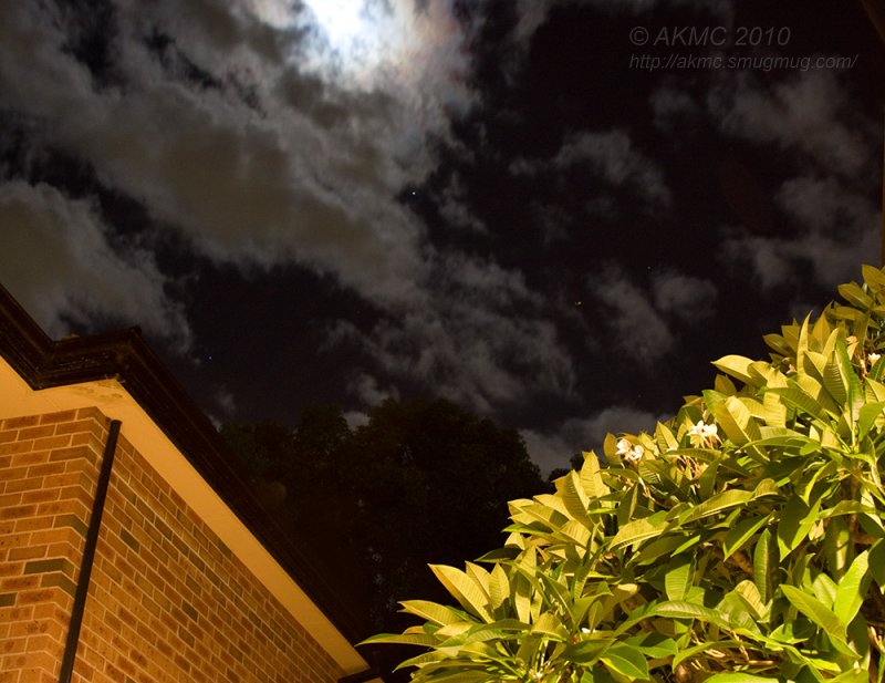 100425_193628_7781 The Night Sky And The Frangipani Tree (Sun 25 Apr 10)