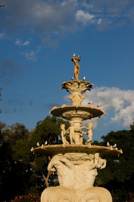 7000 Exhibition Fountain, Morning Light