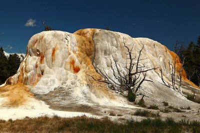 Orange Spring Mound - Summer 2009
