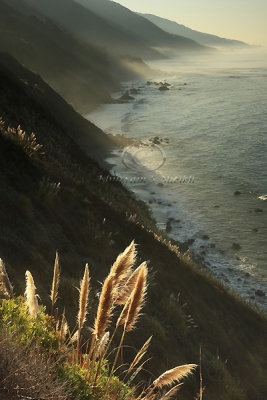 0C9K7847Big Sur Oct31-07.jpg