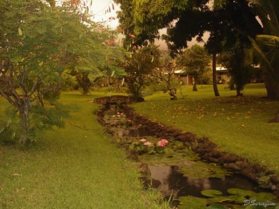 Jardim do Hotel em Papeete