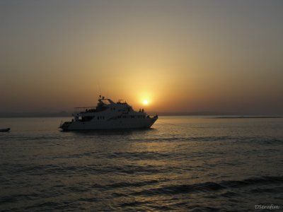 g3/02/809702/3/114393767.AsFRItCa.jpg