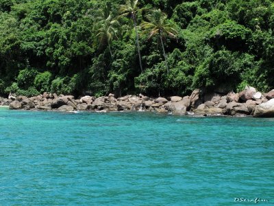 Lopes Mendes