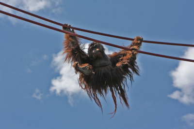 Hanging around.jpg