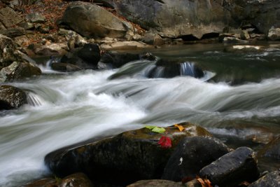 babcock falls with leaf.jpg