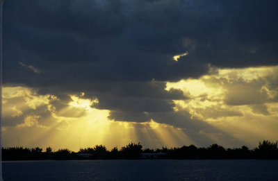 sunbeams.jpg