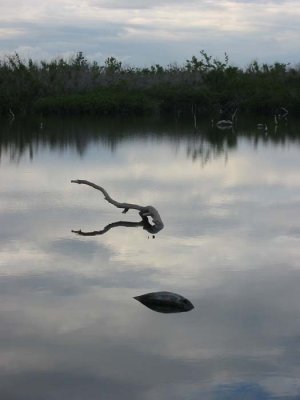 the lake.jpg