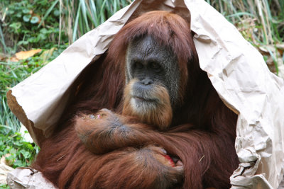 snacking in the rain.jpg