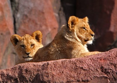 Granby and Neka.jpg
