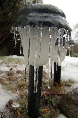 IMG_7346.jpg