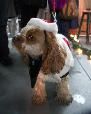 IMG_9447.jpg