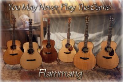 Flammang Guitars