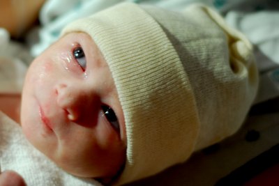 g3/02/823702/3/122452151.SUNHX3iW.jpg