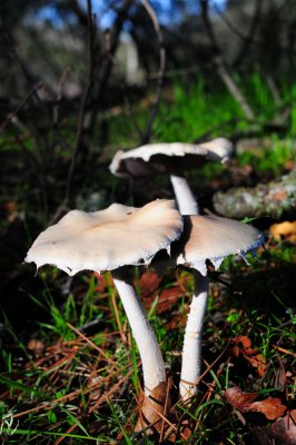 DSC_1543u.jpg