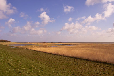 Oosterdijk